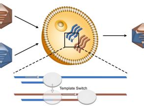 final schematic 1024x647
